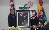Đoàn đại biểu cấp cao Triều Tiên thăm mô hình trồng hoa lan tại Đan Phượng, Hà Nội